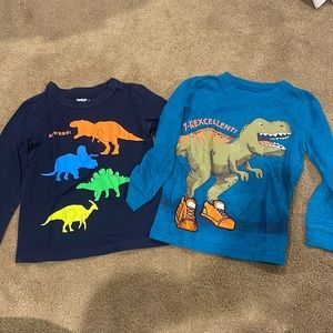 Set of 2 Dino Long Sleeve Shirts